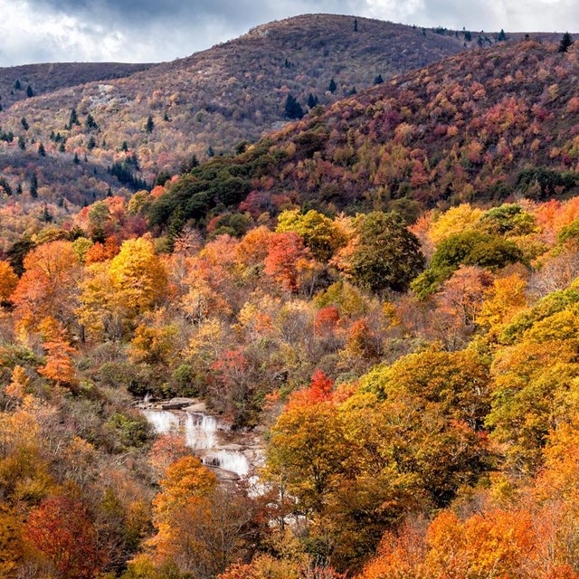 A waterfall surrounded by an autumn forest 