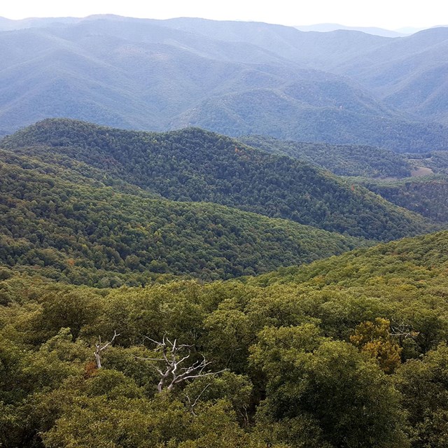 view of mountains from Frying Pan Mountain