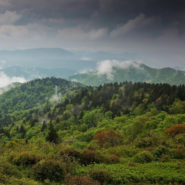 Whispy clouds hug mountains covered with bright green foliage after a spring storm.