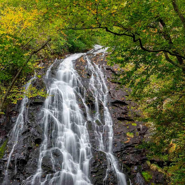 waterfall cascading over black rock face framed by green leafy trees