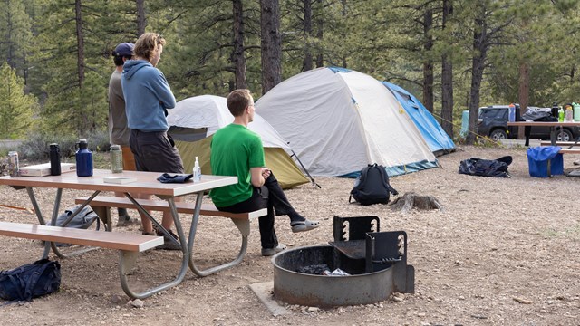 People sit at a picnic table with a tent in the background.