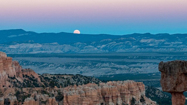 A moon on the horizon against a pink and blue sky