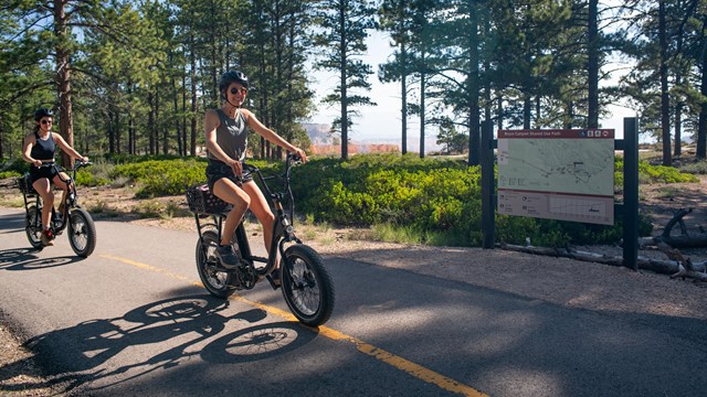 Two bicyclists ride along a paved path through a forest.