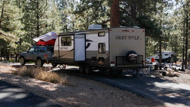 A Trailer along a pull-out in a forest