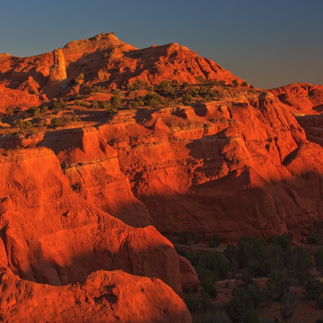 Sunlit sandstone glows orange