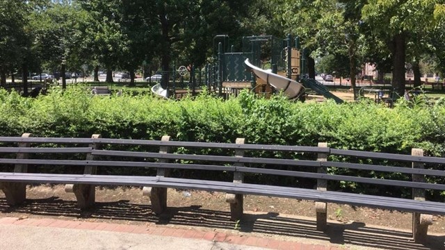 Park benches in front of bushes and a playground. 