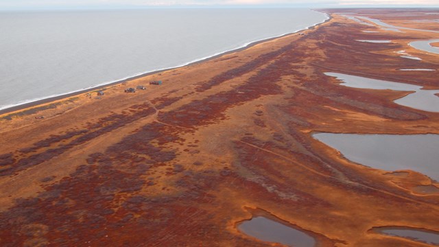 Fall foliage over Cape Krusenstern Beach Ridges