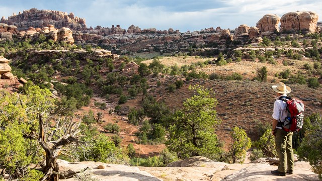 a hiker stands on a rocky surface with a view of distant rock pinnacles