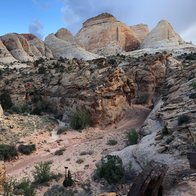 Large golden monoliths with blue sky in the background and rocks, plants, and trail in foreground.