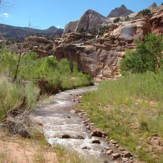 Sparkling river with green banks, colorful cliffs nearby, and blue sky above. 