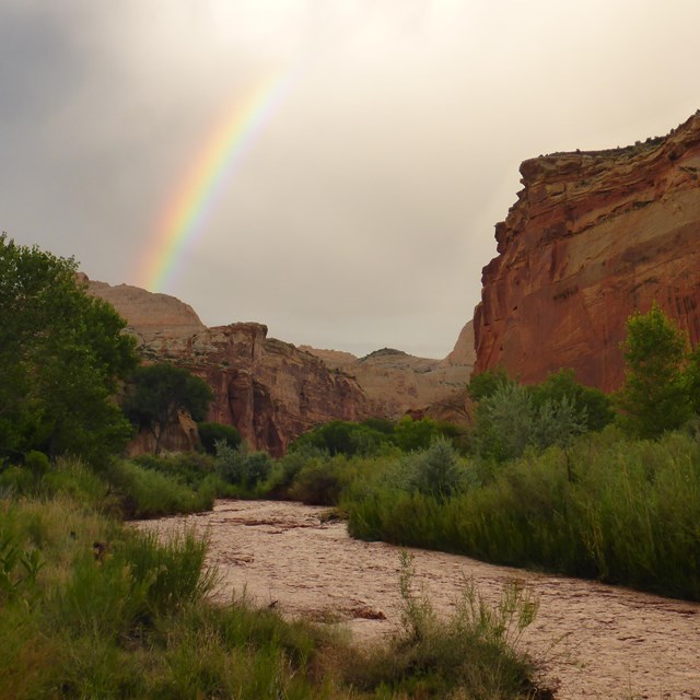 Reddish brown river flowing between green banks, with cliffs, a stormy sky, and rainbow.