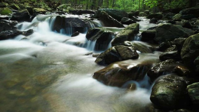 Image of Stream through the park