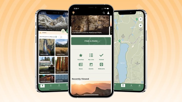 Download the NPS App