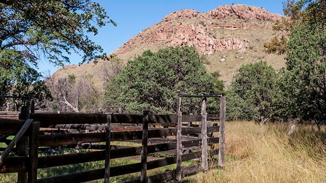 Old wooden fence in field with grass, bordered by trees, and a rocky hill in the background.