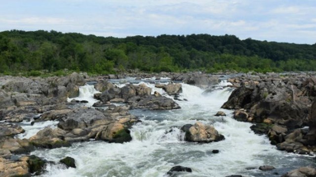 Scenic view of the Potomac Gorge at Great Falls.