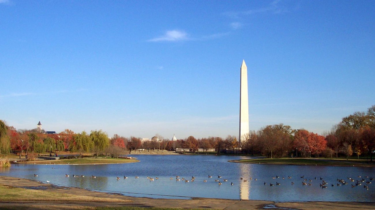 View of Constitution Gardens in the Fall