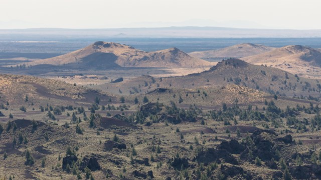 Lava landscape dotted with limber pine and sagebrush.