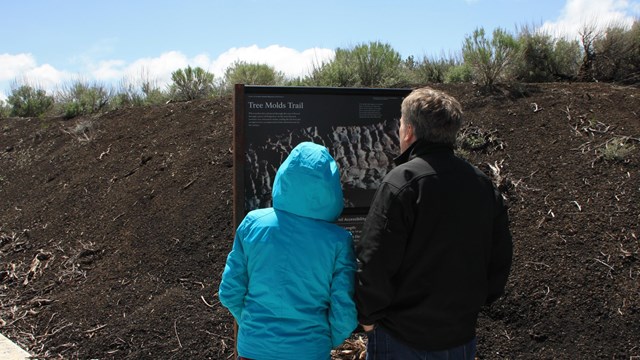 two people looking at a trail sign with the text "tree molds"