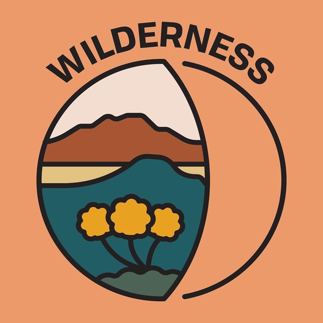 Wilderness Logo