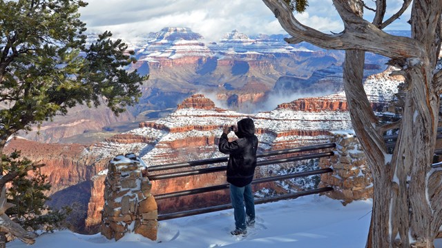 Person taking a picture of the Grand Canyon covered with snow