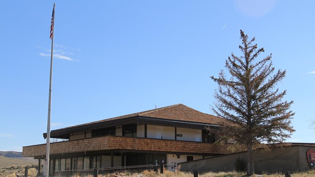 A building with brown roofing and a concrete walkway in front. A large tree and flagpole in front.
