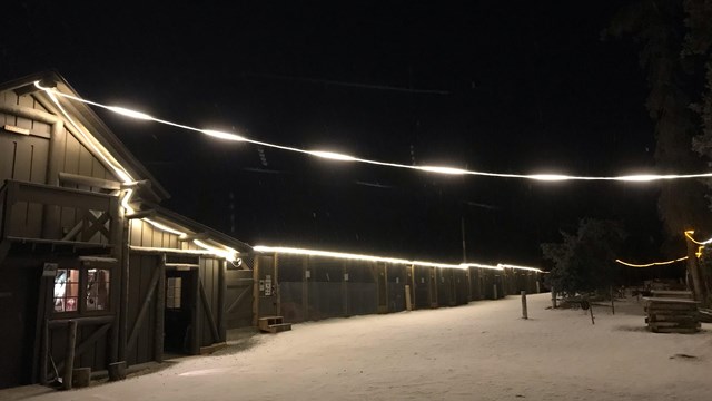 dark night in a snowy dog-yard with lights illuminating a building