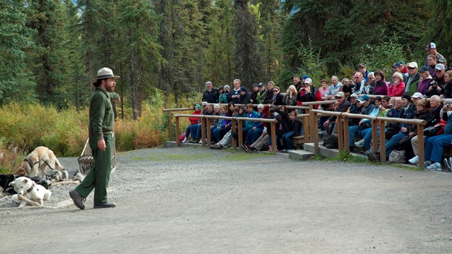 male ranger standing in front of several dogs while speaking to a group of people 