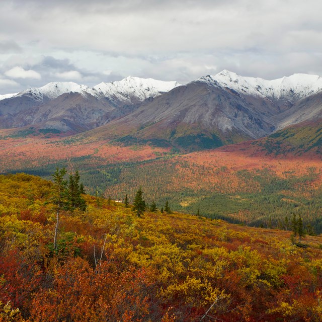 Fresh snow on a mountain ridgetop, with bright red and yellow fall colors below the snow line.