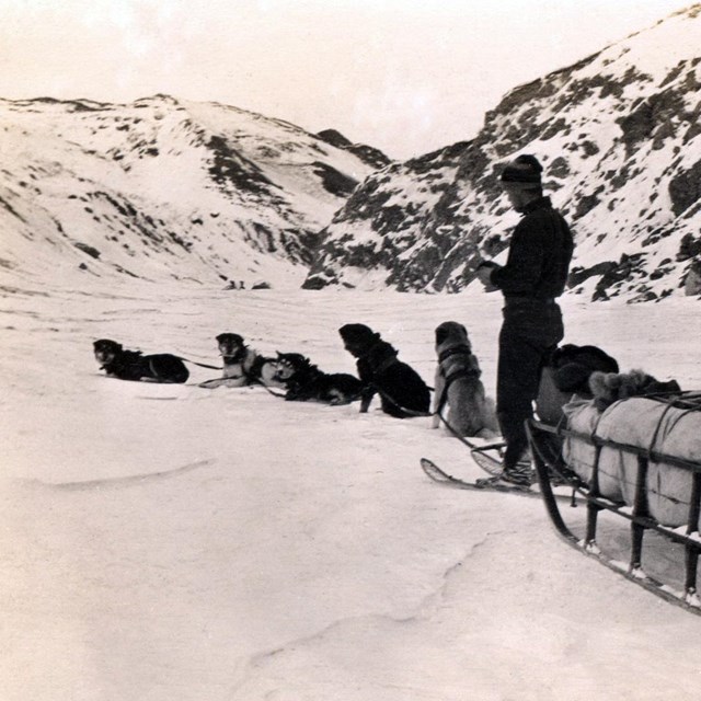 historic black and white image of a man standing next to a team of dogs and large sled