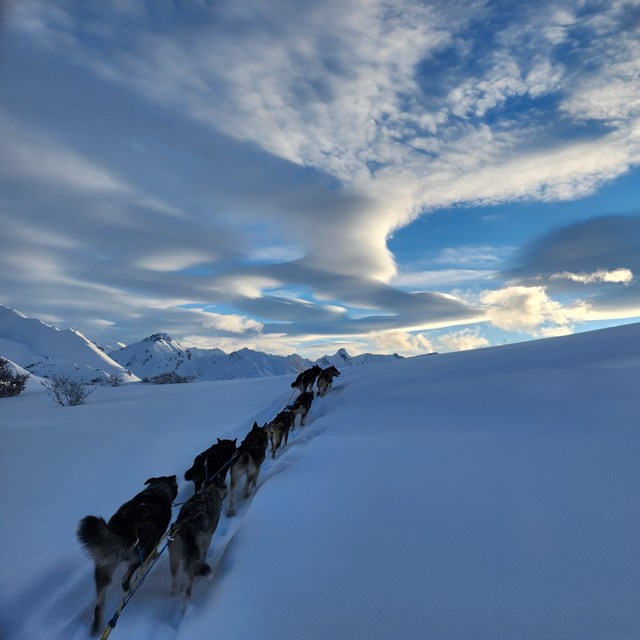 a snowy, hilly landscape