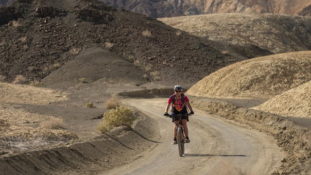 Biker in 20 Mule Team Canyon