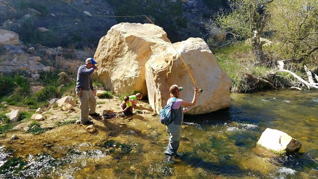 A family fishing in Jones Hole Creek.