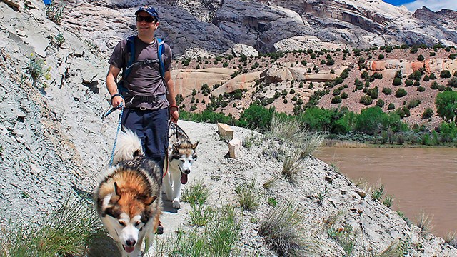 Man on trail with two large dogs. River and rocky mountain in the background