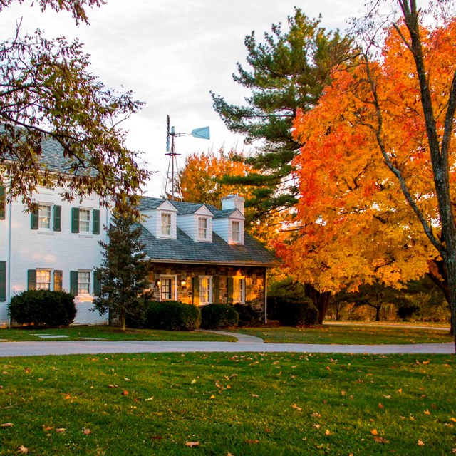 A white house behind orange and yellow trees.