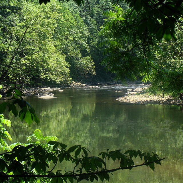 A still water pool along the Bluestone River.