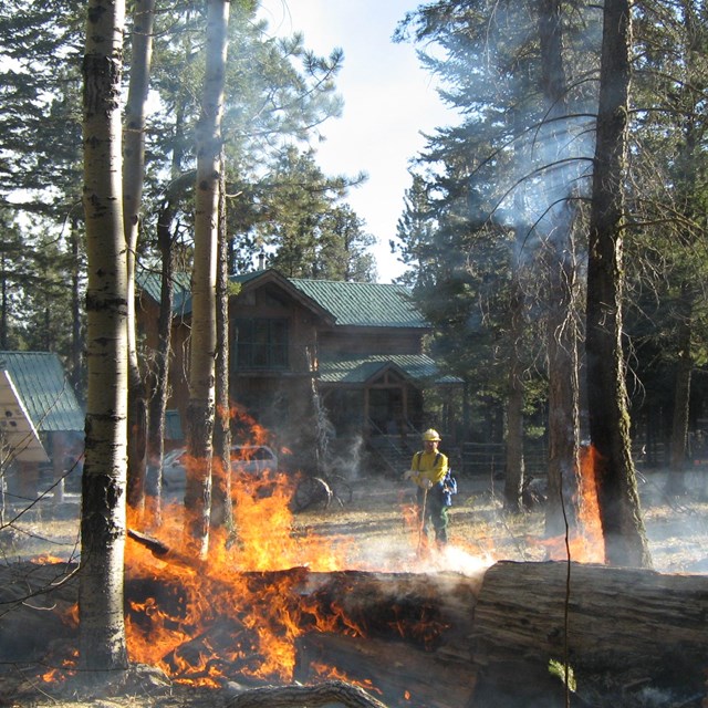 Prescribed burn at Bandelier National Monument