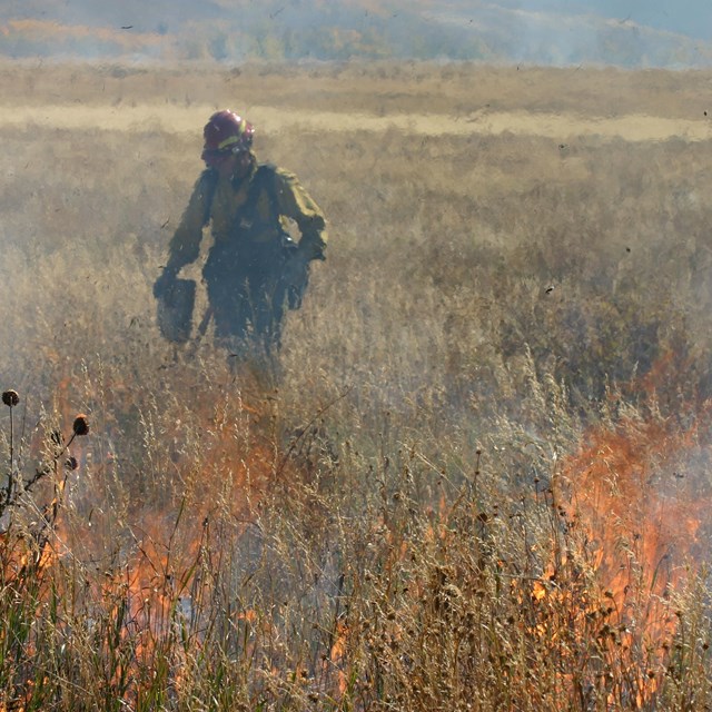 Prescribed burns at Grand Teton National Park 