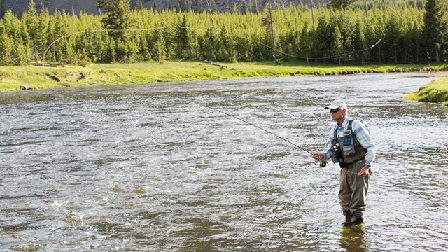 Man casting line into middle of stream