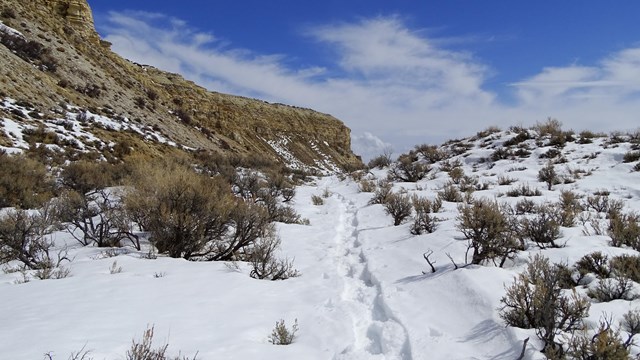 Footprints lead through the snow between sagebrush. To the left are rocky cliffs.