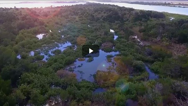 Image of the waterway from a drone. 