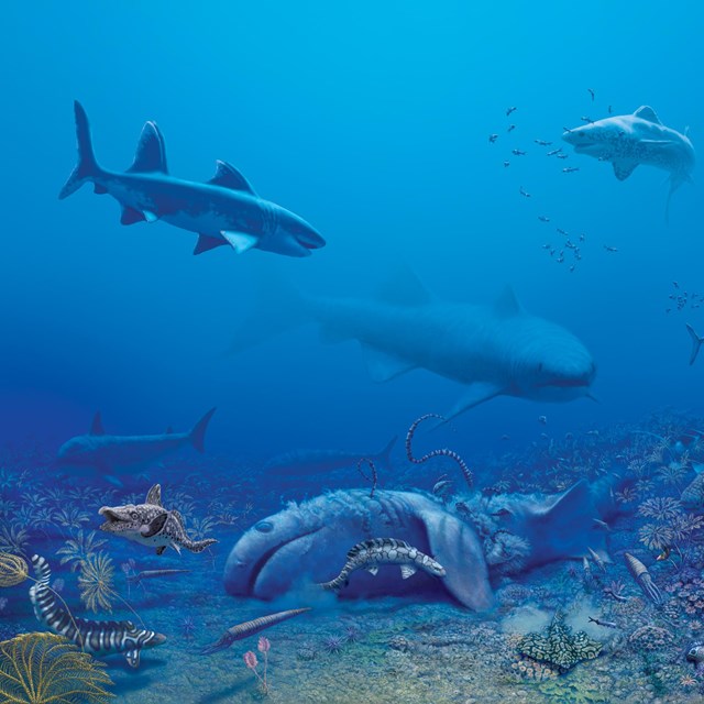 mural of prehistoric sharks