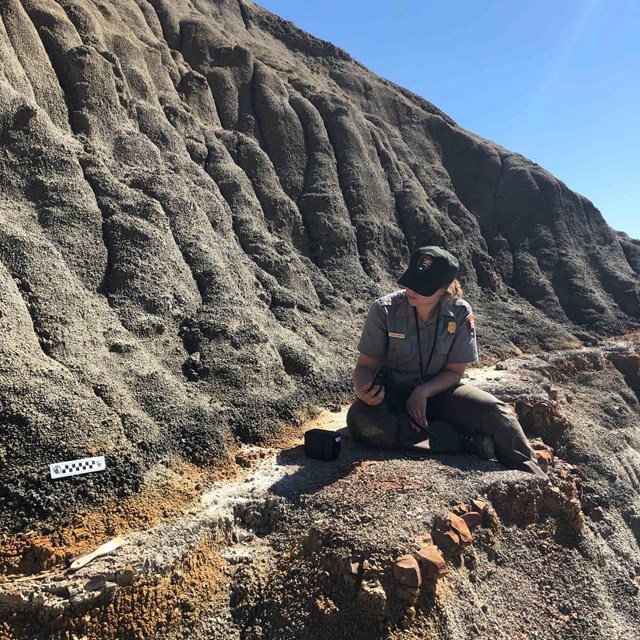 Photo of a paleontologist sitting on the ground digging up fossils