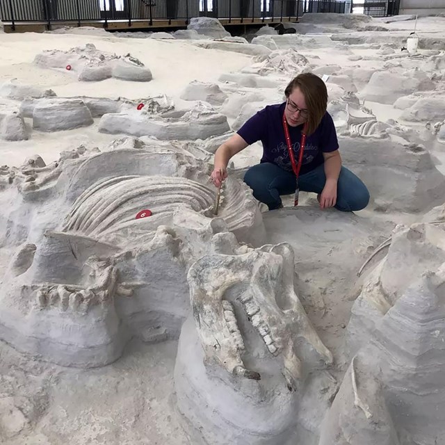 Photo of a person in a fossil quarry with exposed skulls and bones