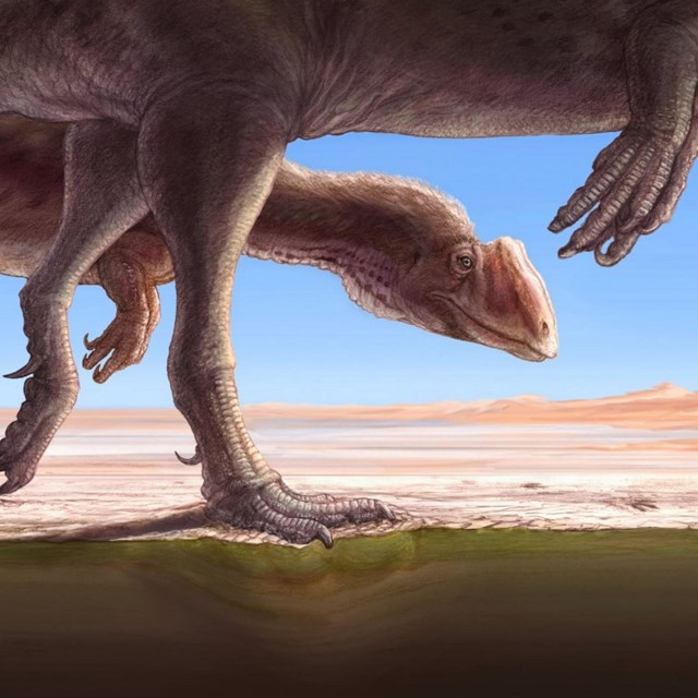 painting of two dinosaurs walking across a dry lake bed