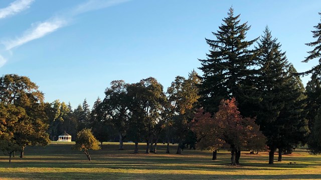 A photo of the Great Meadow with the Bandstand in the distance.