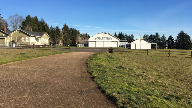 A meadow with lupines blooming on a sunny day. Pearson Air Museum is in the background.