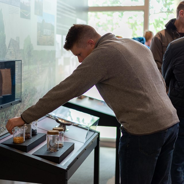 A man looking at a museum exhibit.