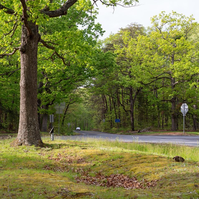 An road intersection paralleling earthworks.