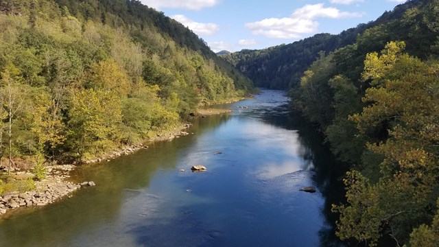 river flowing through a deep, forested gorge