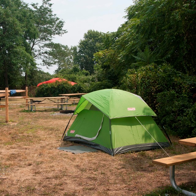 Photo of tents at Floyd Bennett Field